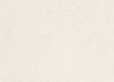 環保纖維咭